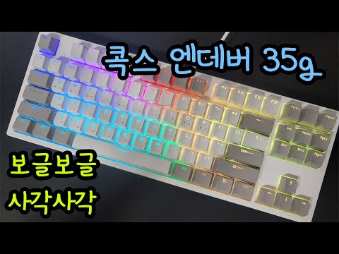 보글보글♬ 콕스 엔데버 35g 노뿌무접점 키보드리뷰 - Cox ENDEAVOUR TKL RGB 35g