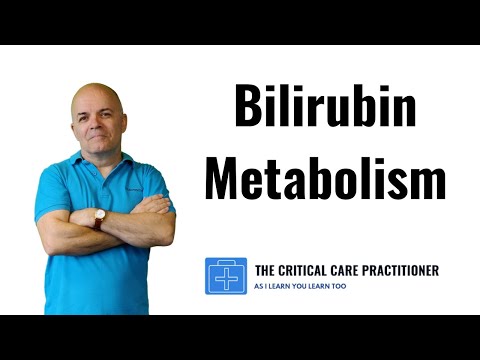 What is Bilirubin?