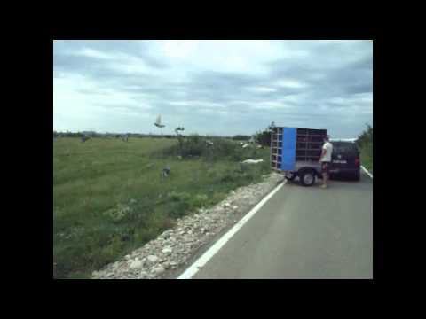 HONEST RACE OLR - ROMANIA