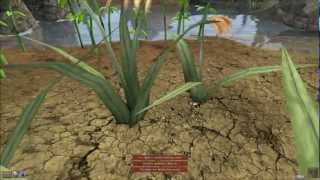 Let's Play Morrowind Part 48 - Marshmerrow Murderer