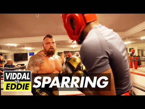 VIDDAL RILEY VS EDDIE HALL ( FULL SPARRING VIDEO)