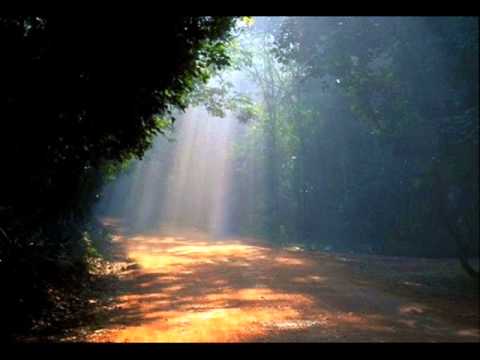 Ebro/Gontar - Daydream