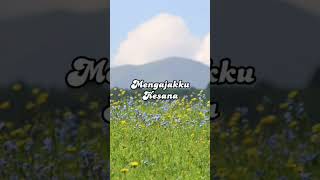 Download lagu Ebiet G Ade - Camelia 2 #ebietgade #camelia2 #liriklagu mp3 Download lagu Ebiet G Ade - Camelia 2 #ebietgade #camelia2 #liriklagu mp3