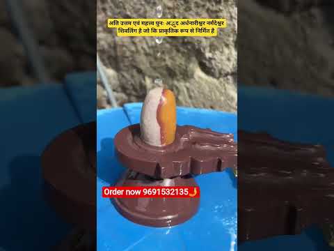 unique Narmada stone Ardhnarishwar Narmadeshwar shivling for home Pooja available #viralshorts