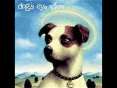 Dog's Eye View - The Trouble With Love