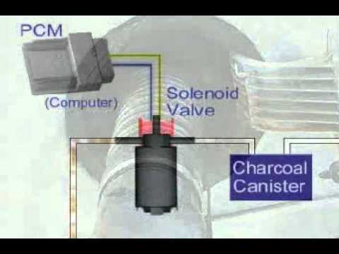 Fuel Vapor Canister Solenoid