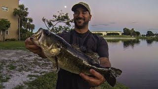 LAST BASS OF 2017!!! Florida Pond Fishing with Sy!