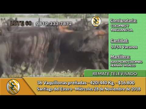 28-11-18 - Remate Televisado de COLOMBO Y MAGLIANO S.A. - S. del Estero