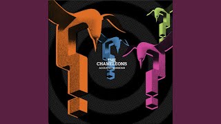 Pleasure and Pain (Strip)