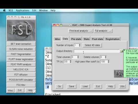 FSL Tutorial 1: Introduction to FSL