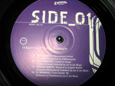 DJ SKINHEAD-F##KIN HOSTILE '96