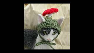 Cover art for rolling in the deep