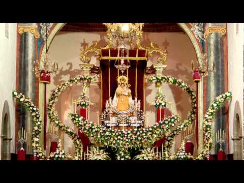 Evangelio  del  dia  8  de  Octubre  de  2011