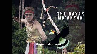 Download lagu INSTRUMEN SAPE DAYAK PALING MERDU SEPANJANG WAKTU - Mode Relaksasi dan Tidur mp3