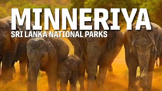 Travel vlog - Why Kaudulla & Minneriya Are the BEST Places to See Elephants