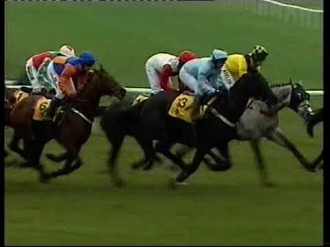 2006 JCB Triumph Hurdle