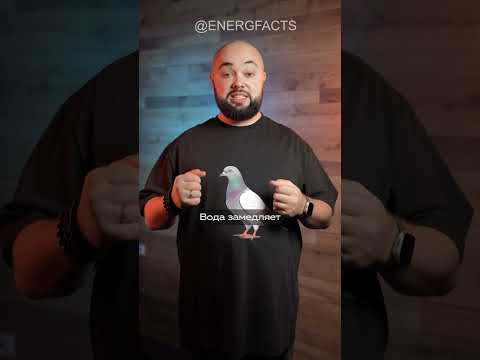 Необычный аквариум зарабатывает €100 в день!