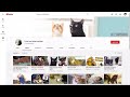 CatPusic Beat Cole And Marmalade In Subscribers