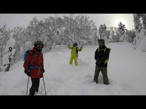 Skiing at Appi Kogen in Iwate Prefecture | Japan Diary