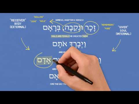 Biblical Hebrew For Beginners: Adam & The Dualistic Human Nature