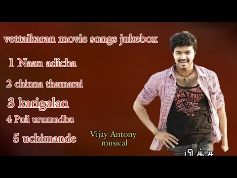 Vettaikaran movie songs jukebox #avineshkp #jukebox #songs #thalapathyvijay #vijayantony