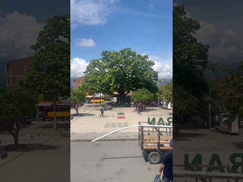 Parque de Sopetran Antioquia #colombia #pueblo #antioquia #citylife #iglesiacatolica #naturelovers