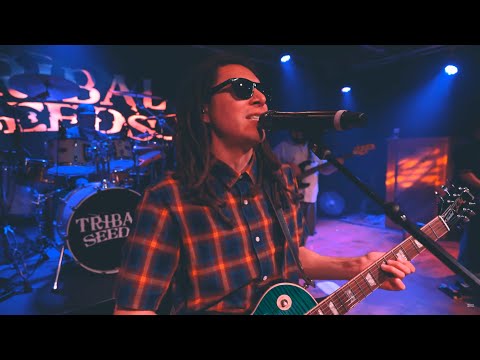 Tribal Seeds - Live: The 2020 Sessions (Full Show)