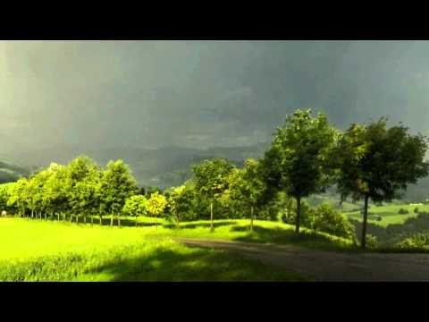 20101030 - 07 Blumenwalzer Präsentation - TMK St.Georgen/Klaus - Jubiläumskonzert 2010