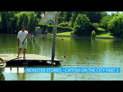 Rémtörténetek – Harcsa a városban 2. rész