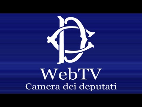 webtv.camera.tv - Inail presenta relazione annuale - (14-07-2020)