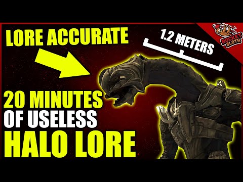 20 Minutes of Mostly Useless Halo LORE Facts