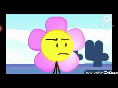 Finding Leopold Part 30: Back In The Reef