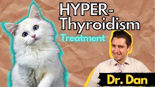 Cat Hyperthyroidism- Symptoms, Diagnosis, and Treatment with Dr. Dan