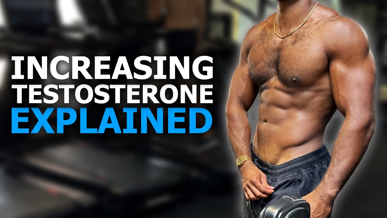 Testosterone Full Guide: How To Increase Testosterone 440ng to 730ng Naturally, TRT, Estrogenics