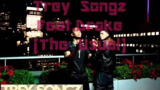 The Usual((TREY SONGZ FEAT. DRAKE))