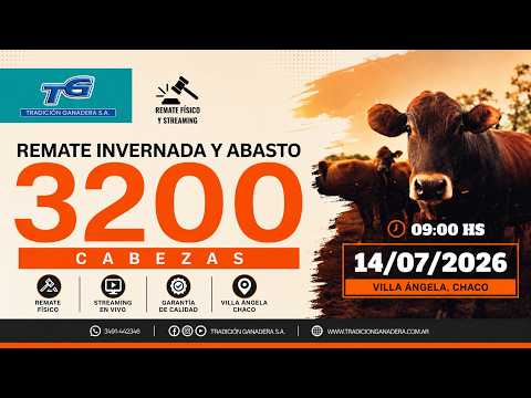 REMATE ABASTO E INVERNADA...TRADICION GANADERA SUCURSAL VILLA ANGELA