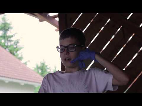 Übungstag der Rotkreuz - Jugend Markt Hartmannsdorf