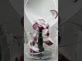 Der Kabellose Multizerkleinerer Chop Go Von CASO Design
