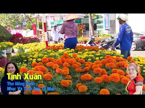 Tình xuân - Tố Mai