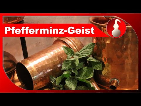 Pfefferminz-Geist - selber Schnaps brennen - Schnapsbrennen als Hobby - diSTILLed