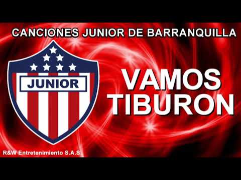 Vamos Tiburon - Canciones Junior de Barranquilla