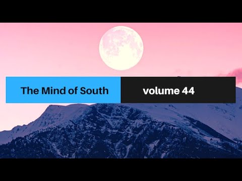 The Mind of South volume 44 - GUESTMIX BY MILAD E