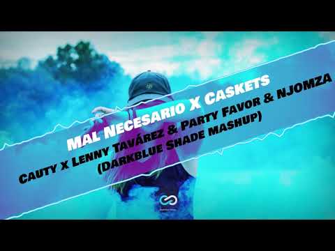 Cauty x Lenny Tavárez  X Party Favor & NJOMZA - Mal Necesario X Caskets