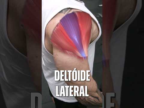 3 EXERCÍCIOS PRA TER UM OMBRO GIGA! #musculacao #academia #treino #laerciorefundini #hipertrofia