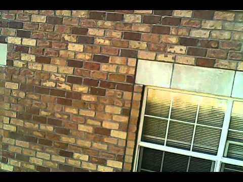 Happy Birthday Maja!!!!