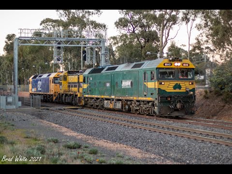 Pacific National's G543 leads T381 and G522 on SSR's 0082 loco transfer- 10/8/21