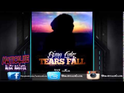 Bingy Linkz - Tears Fall (Anthony Records) March 2015