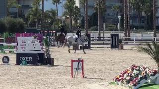 Lee foutloos GP Silver Tour 1.45m CSI** Oliva