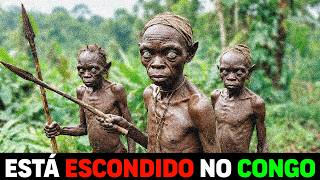 🚨 ESQUEÇA a Amazônia: o VERDADEIRO PERIGO DO PLANETA Está no Congo