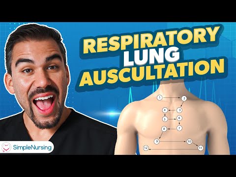Respiratory Lung Auscultation | Health Assessment for Nursing Students